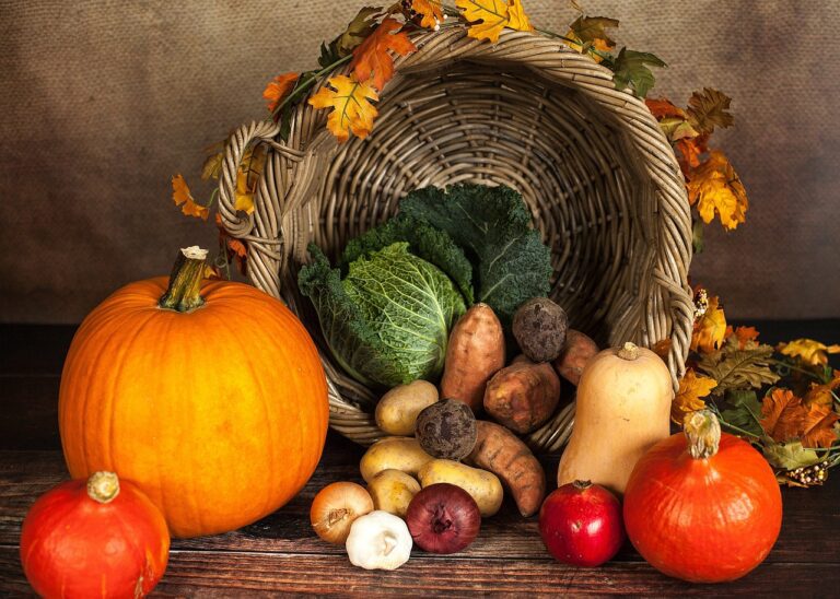 alimentazione autunno